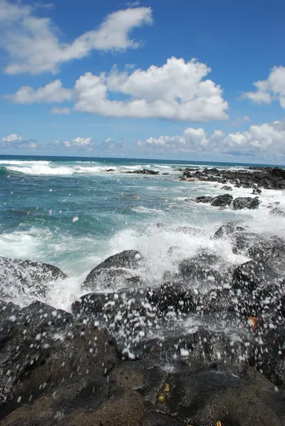 2007_05_30_HAWAII (41) (Large).JPG